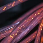 Czym się różni kabel głośnikowy od zwykłego?