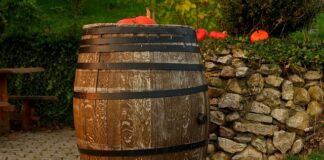 Jak długo trwa cicha fermentacja wina?