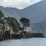 Ile kosztuje godzina pracy pieca gazowego?