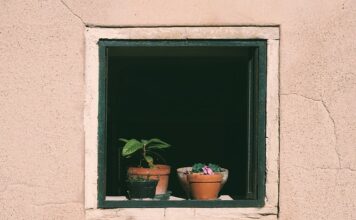Jak podlewać rośliny w szklarni?