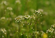 Jak założyć torebkę na biodrach?